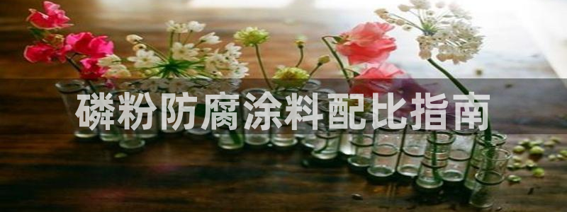 爱游戏app官网有实力04：磷粉防腐涂料